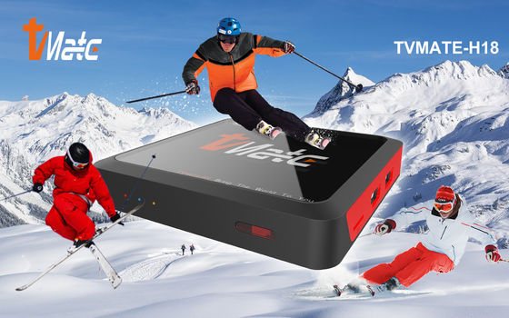 Widevine L1 Android 10.0 TV BOX Allwinner H313 Personalizó OTT Android TV Box