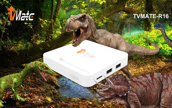OTT Android TV Box Rockchip 322X Quad-Core Cortex-A7 Hasta 1.5GHz Smart TV Box Android